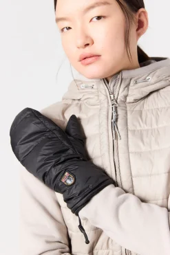 HOLLYWOOD - FÄUSTLINGE