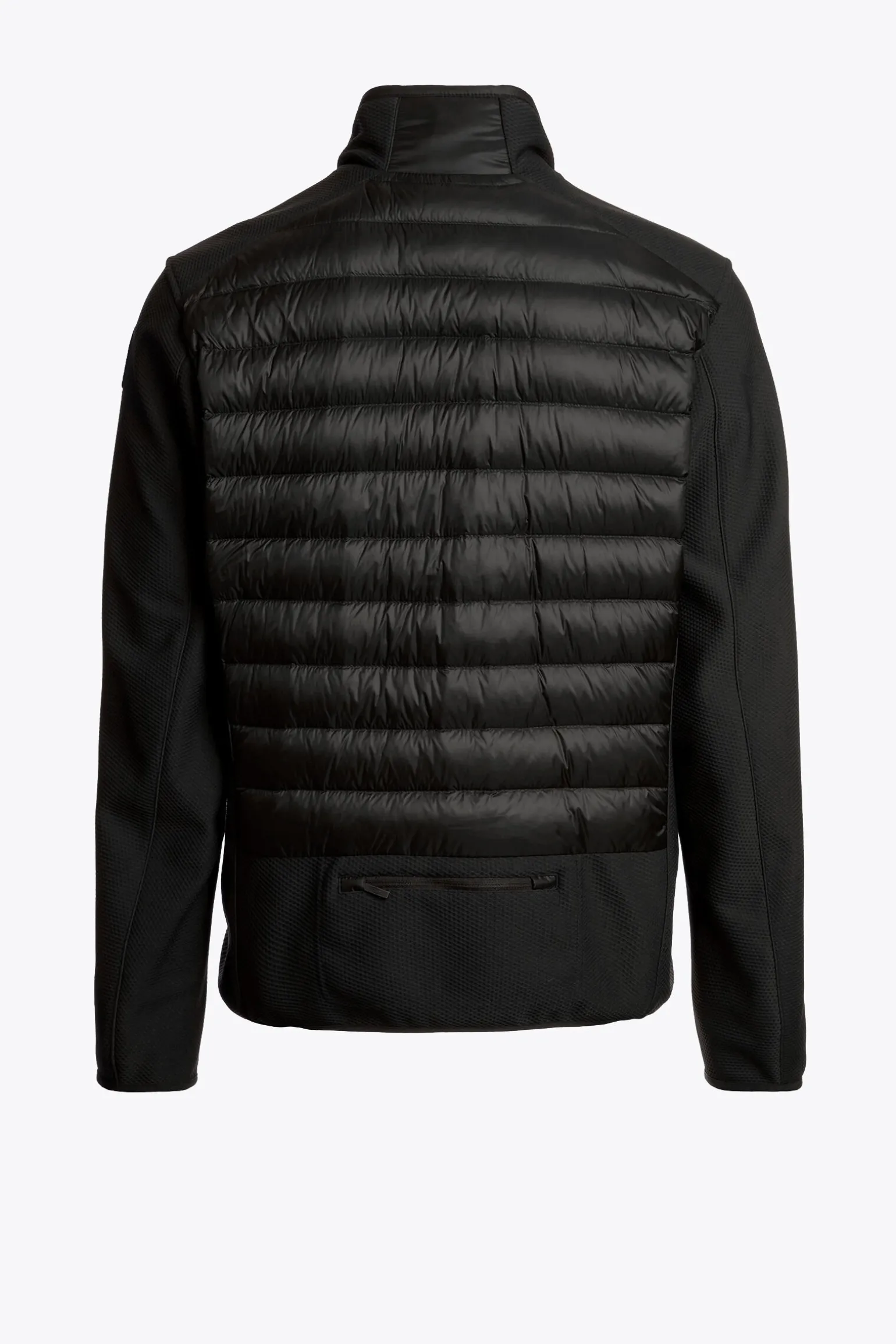 JAYDEN - HYBRIDJACKE