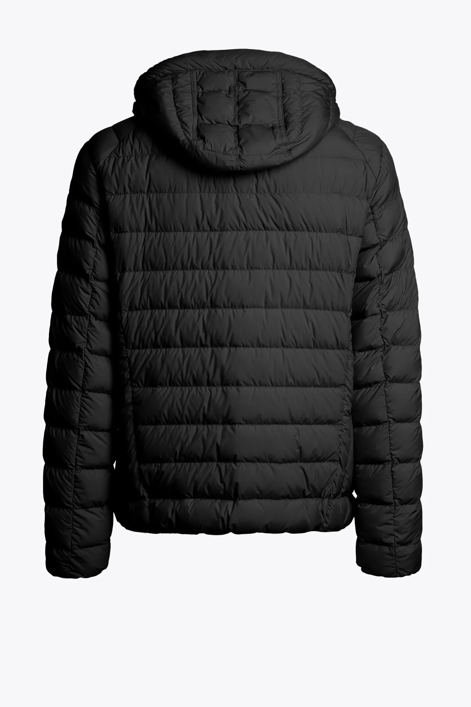 LAST MINUTE - DAUNENJACKE MIT KAPUZE